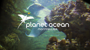 Planet Ocean Montpellier 2022 - 30sec